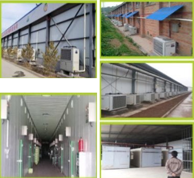 陜西PYQ-1000蒸汽鍋爐食用菌項目