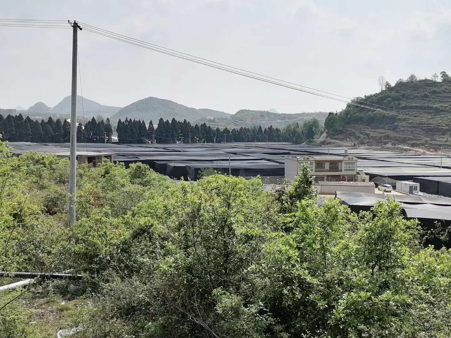 安順平壩PYQ-1000蒸汽鍋爐食用菌項目