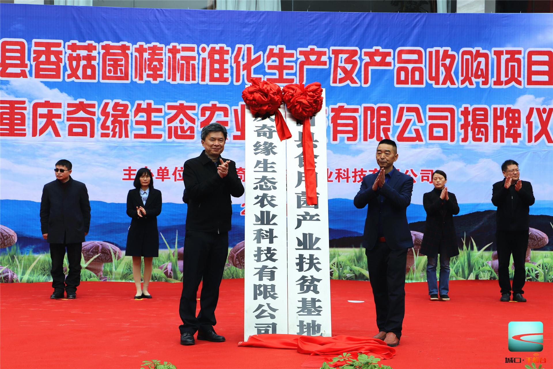 重慶PYQ-1400蒸汽鍋爐食用菌項目